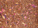 Rooibos Rose