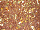 Rooibos Kalahari