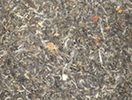 Jasmin Silver Tip