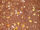 Rooibos Grapefruit