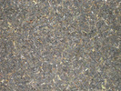 Indian Green Darjeeling