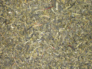 China Sencha