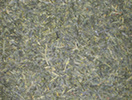 Japan Sencha BIO