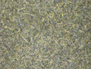 Japan Sencha