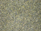 Japan Sencha