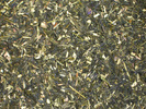 Sencha Lemon